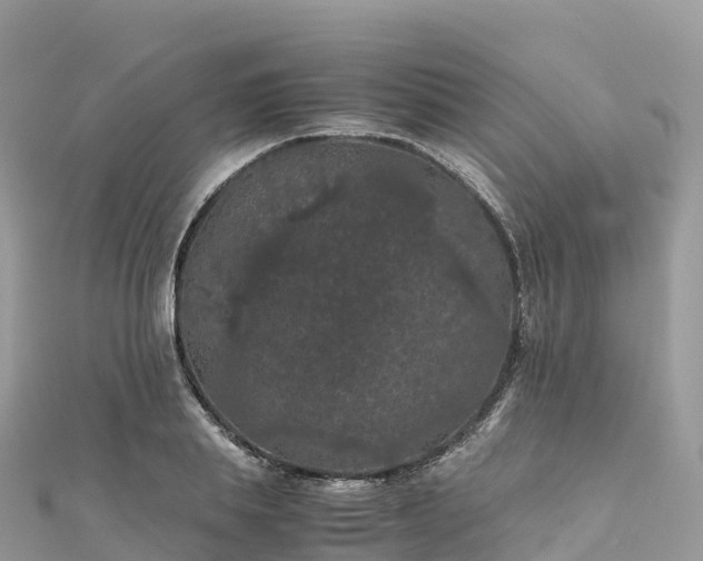 X0000111860839200907301129