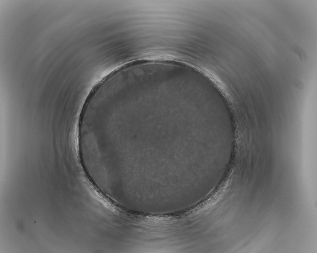 X0000111860840200907301129