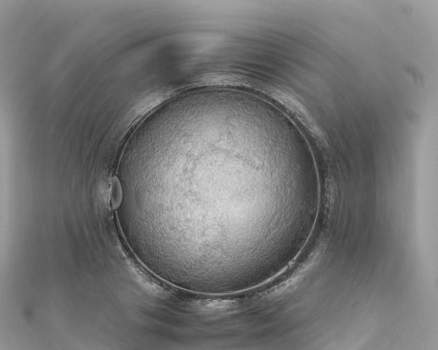 X0000111860841200907301129