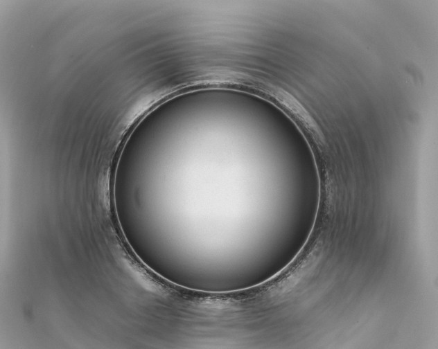 X0000111860842200907301129