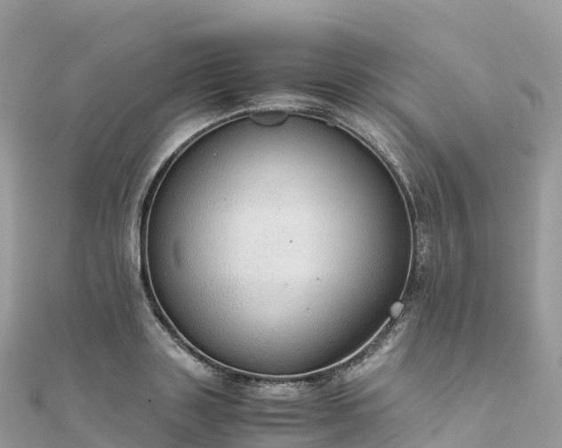 X0000111860843200907301129