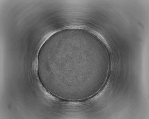 X0000111860844200907301129