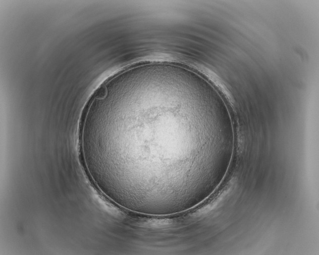 X0000111860845200907301129