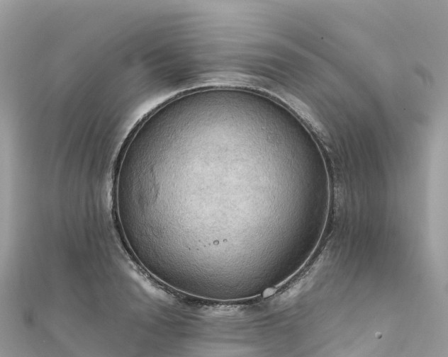 X0000111860846200907301129