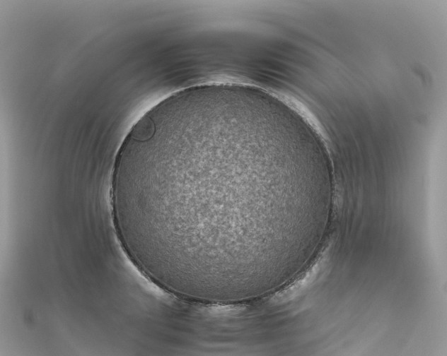 X0000111860847200907301129