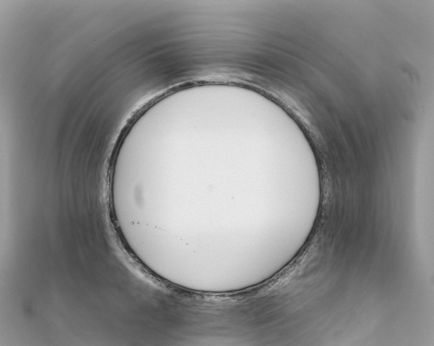 X0000111860848200907301129