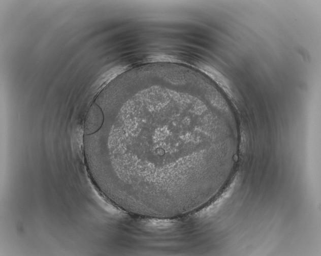 X0000111860849200907301129