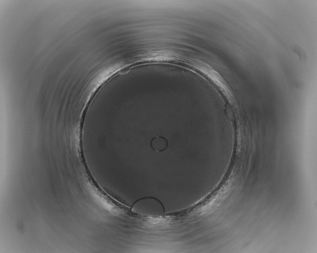 X0000111860850200907301129