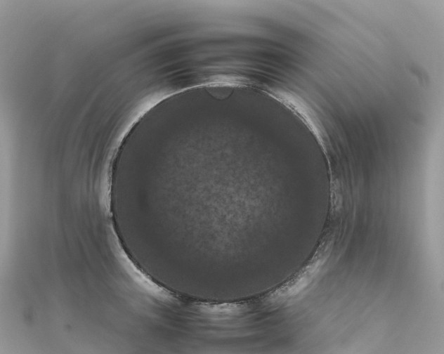 X0000111860851200907301129