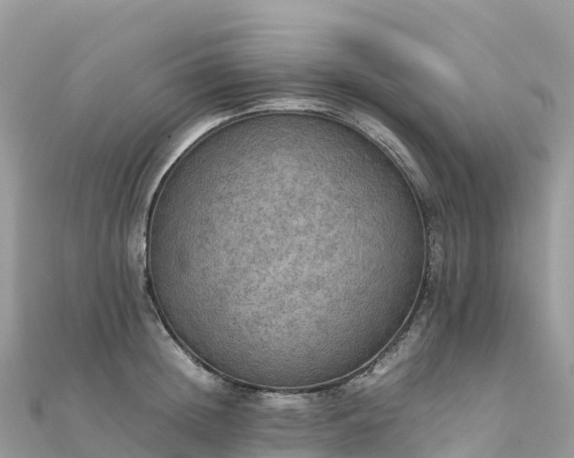 X0000111860852200907301129