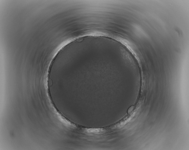 X0000111860853200907301129