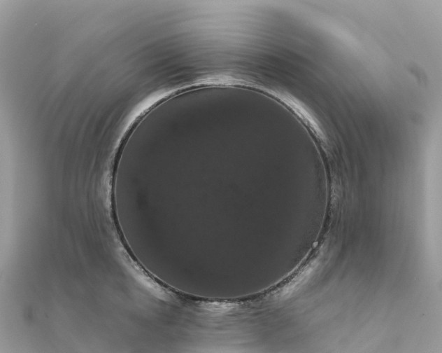 X0000111860854200907301129