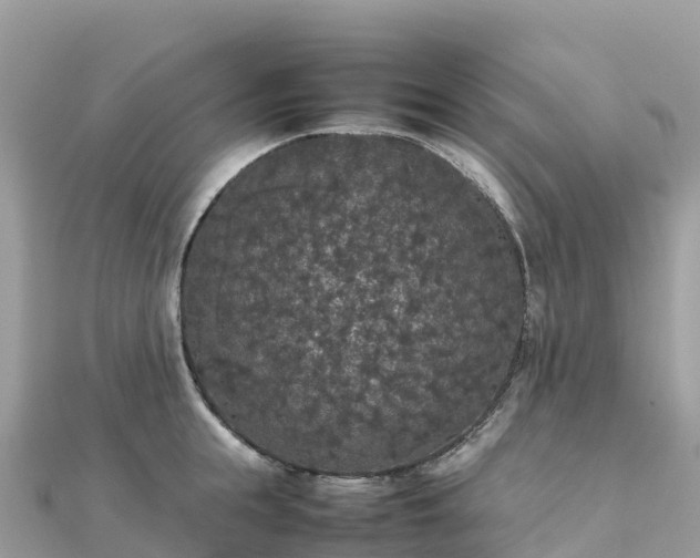 X0000111860855200907301129