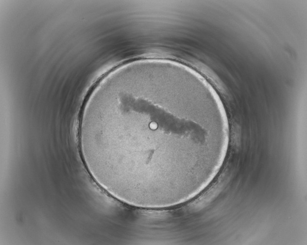 X0000111860856200907301129