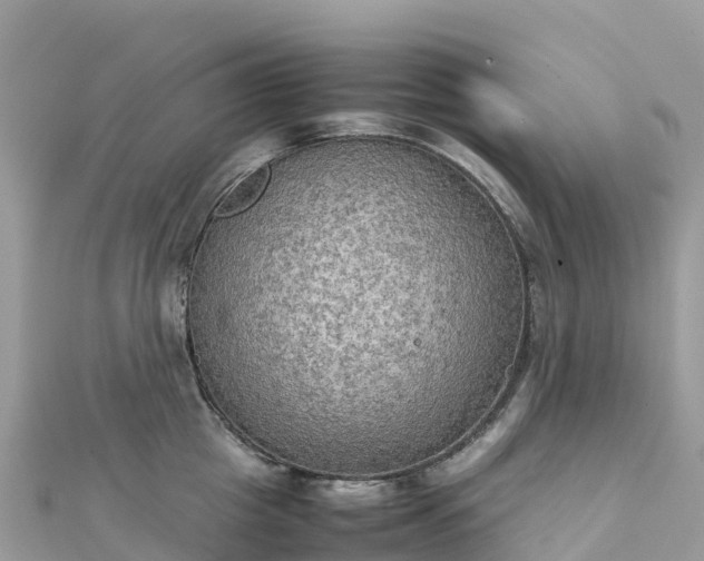 X0000111860857200907301129