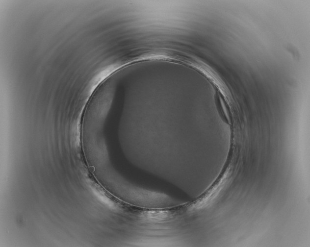 X0000111860858200907301129