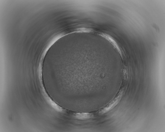 X0000111860859200907301129