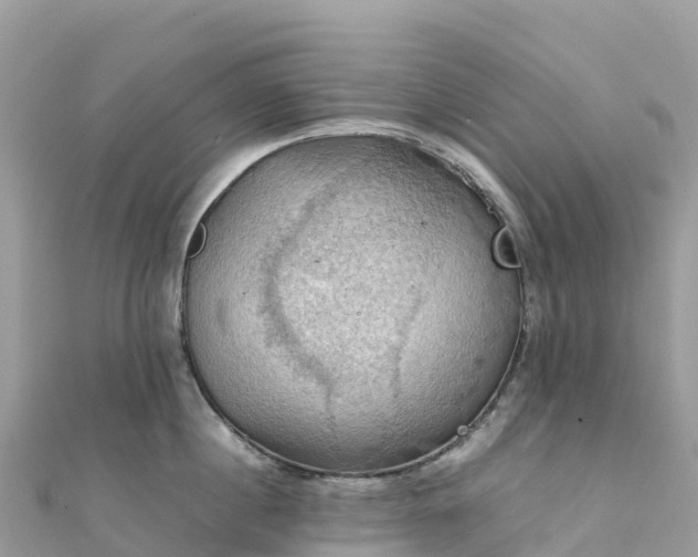 X0000111860860200907301129