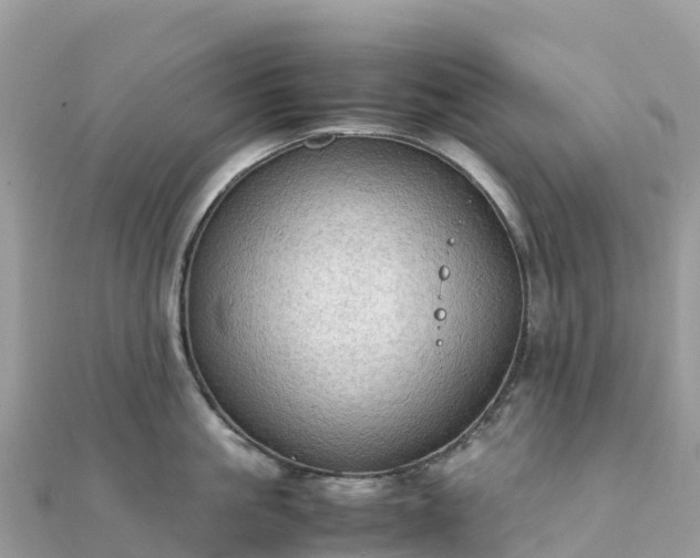 X0000111860861200907301130