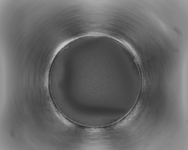 X0000111860862200907301130