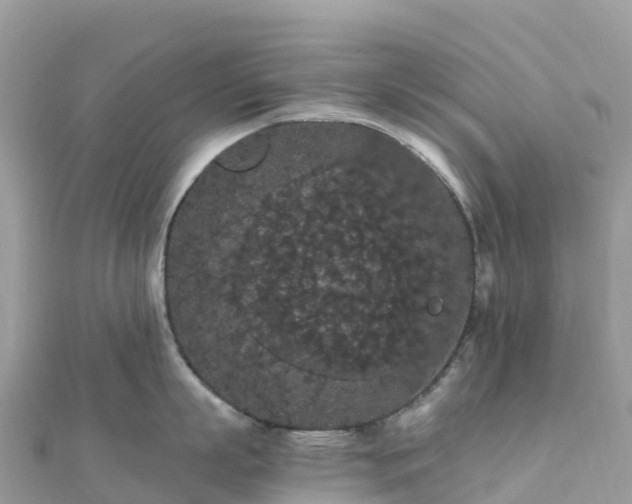 X0000111860863200907301130