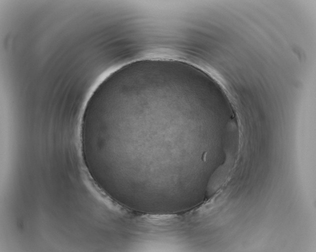 X0000111860864200907301130