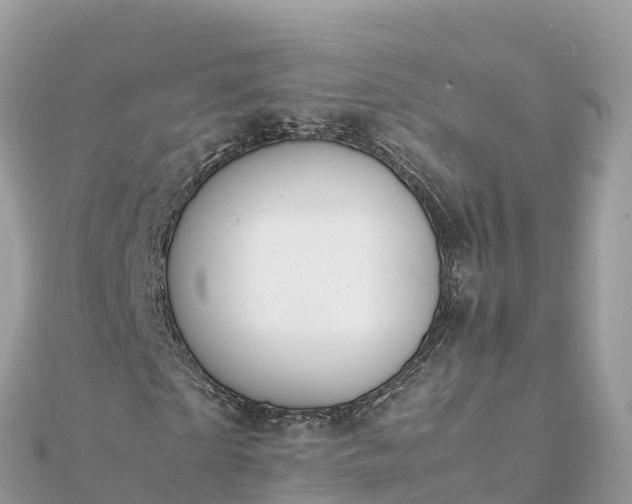 X0000111860865200907301129