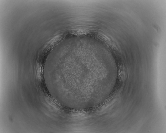 X0000111860866200907301129