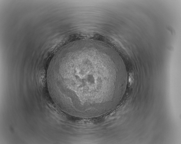 X0000111860867200907301129