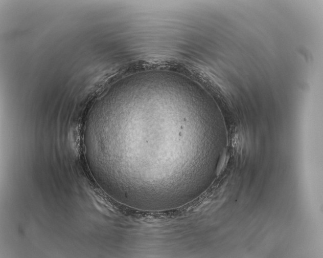 X0000111860868200907301129