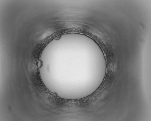 X0000111860869200907301129