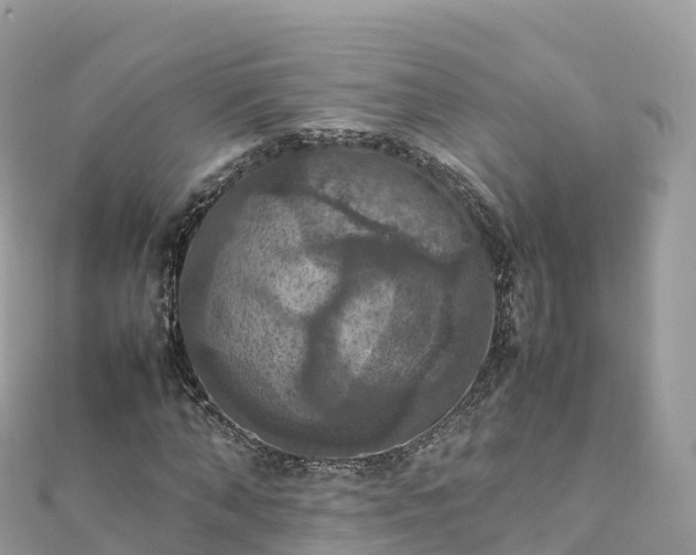 X0000111860870200907301129