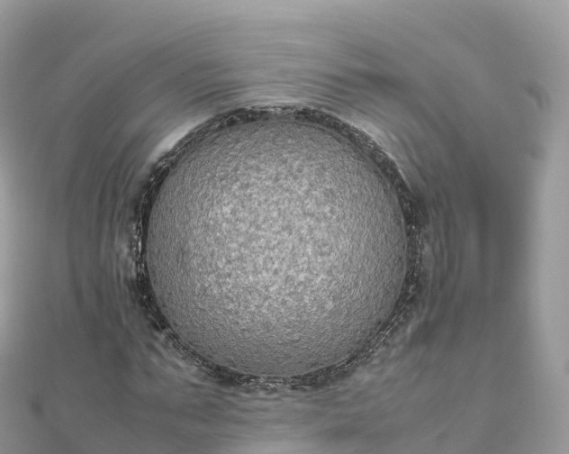 X0000111860871200907301129