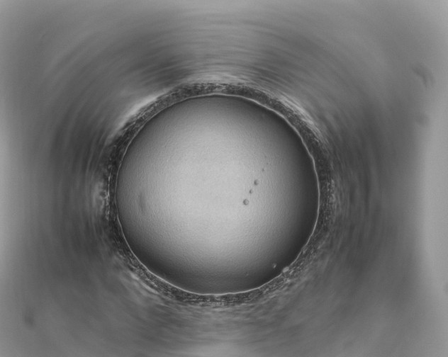 X0000111860872200907301129