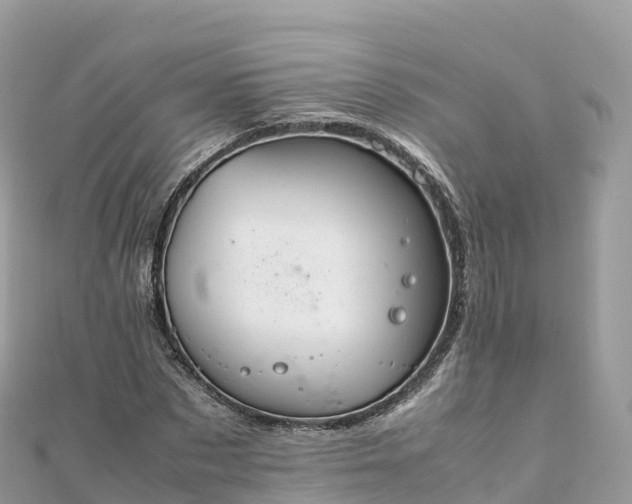 X0000111860873200907301129