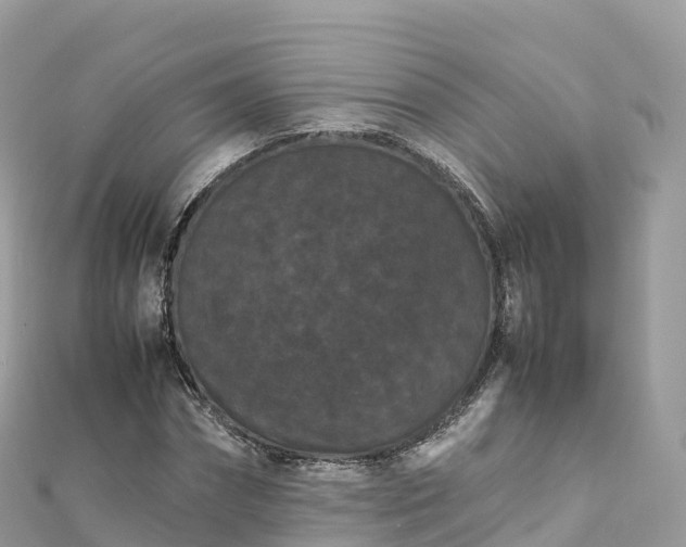 X0000111860874200907301129