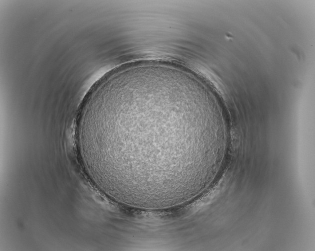 X0000111860875200907301129