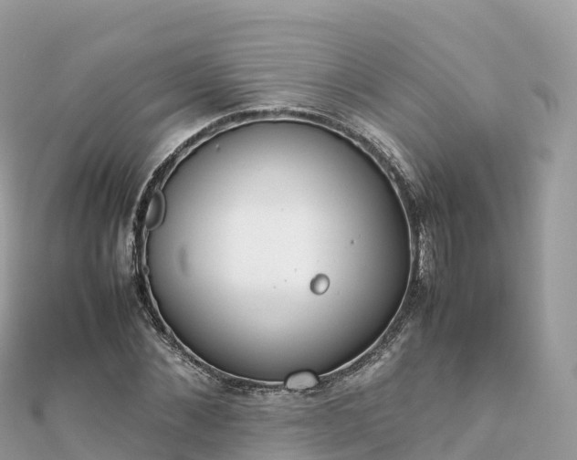 X0000111860876200907301129