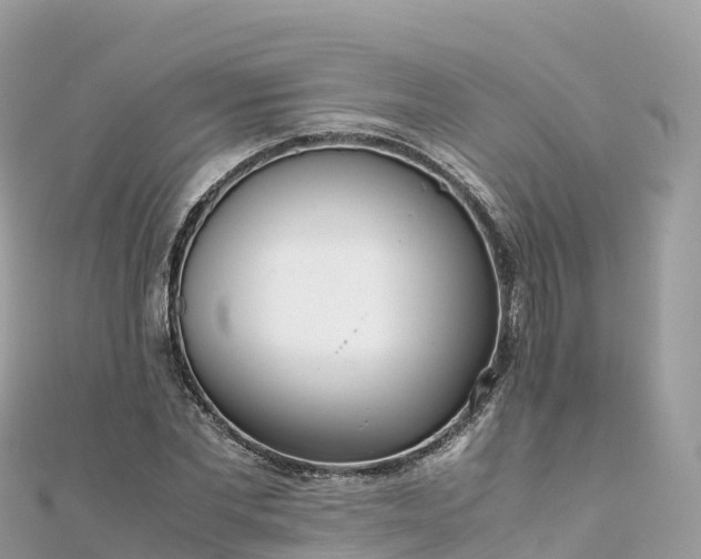 X0000111860877200907301129