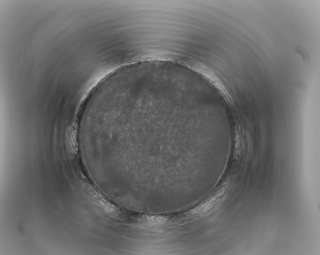 X0000111860878200907301129