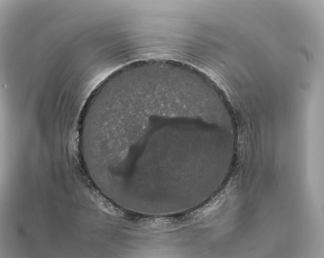 X0000111860879200907301129