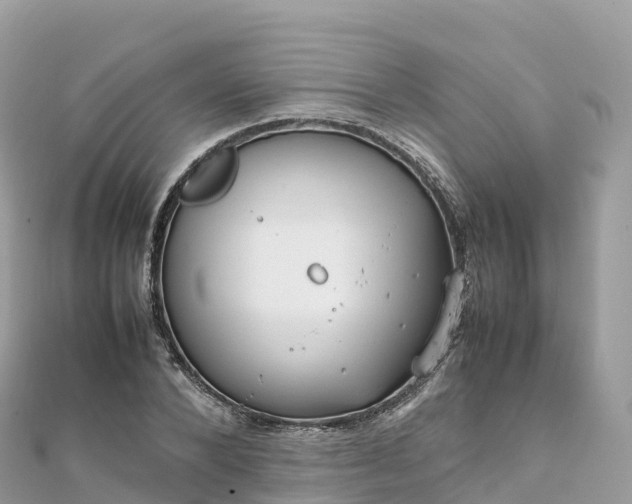 X0000111860880200907301129