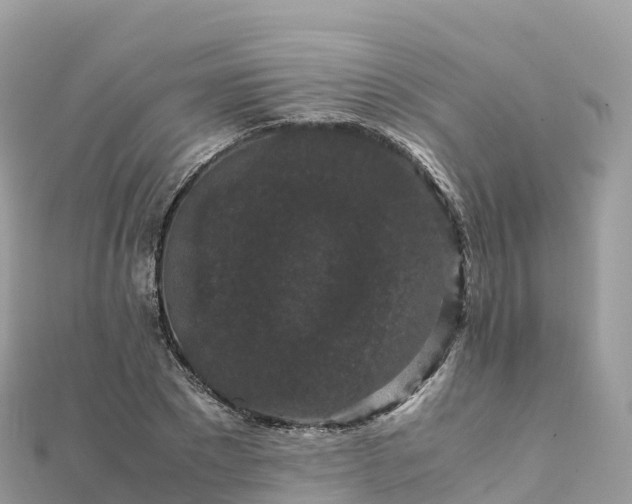 X0000111860881200907301129