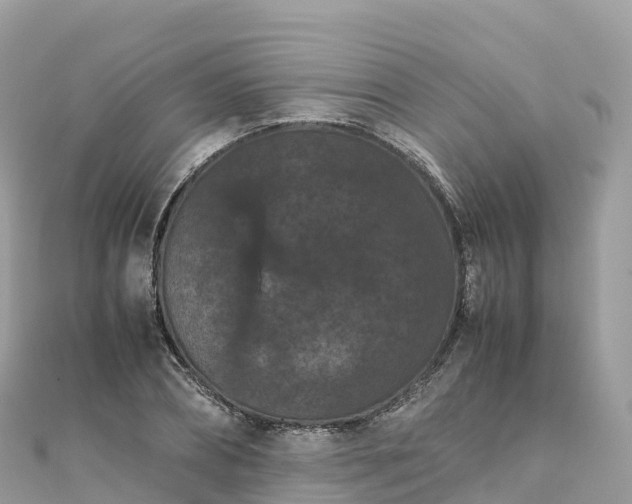 X0000111860882200907301129