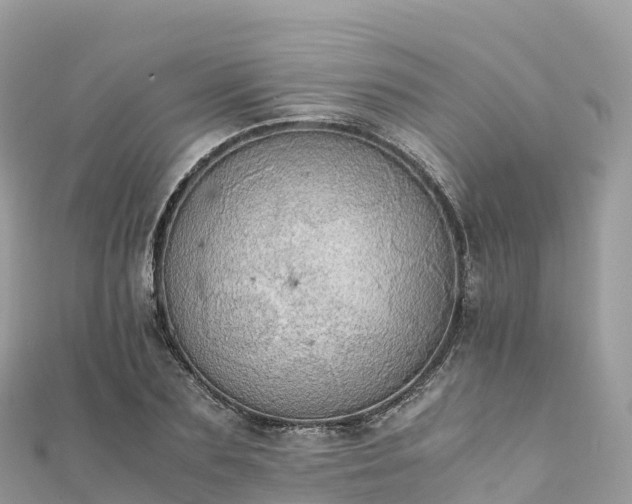 X0000111860883200907301129