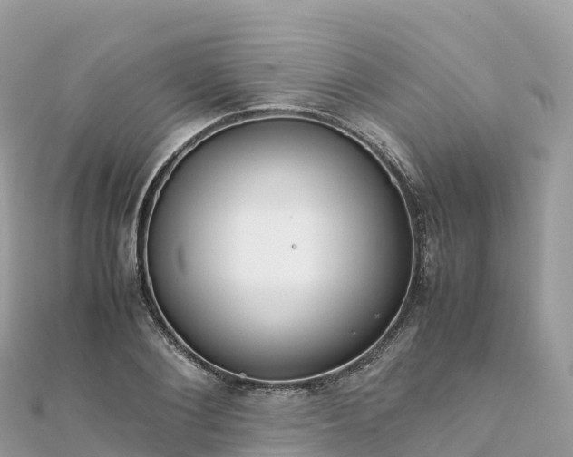 X0000111860884200907301129