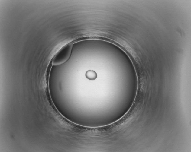 X0000111860885200907301129