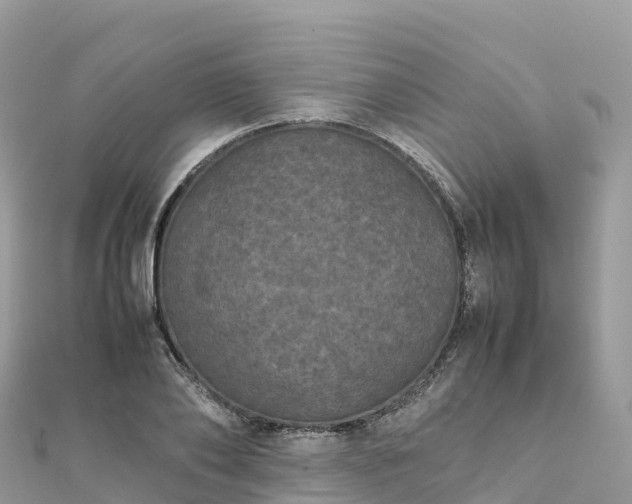 X0000111860886200907301129