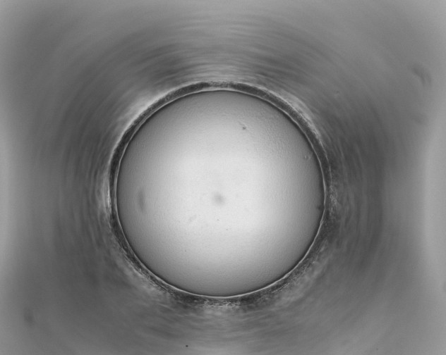 X0000111860887200907301129