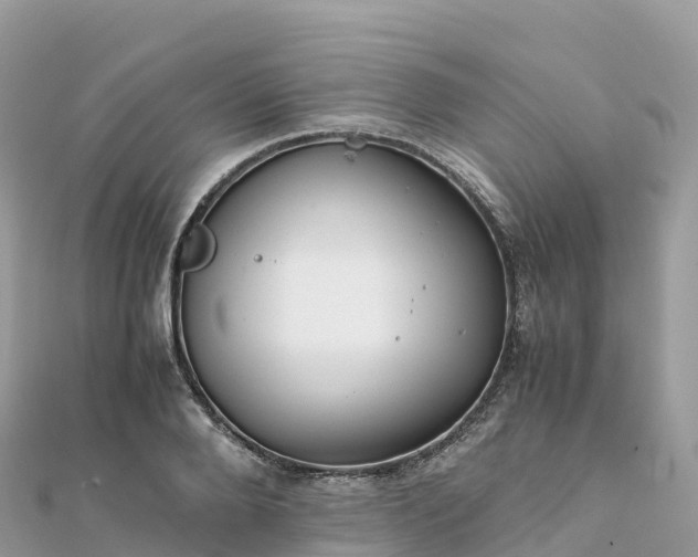 X0000111860888200907301129